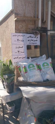 عکس کلبه سبز