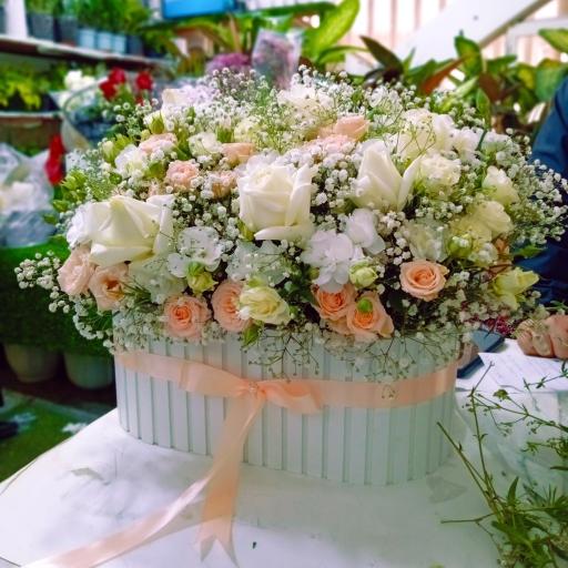 عکس کلبه سبز