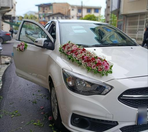 عکس کلبه سبز