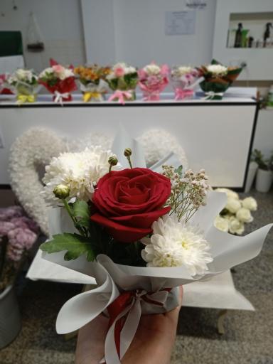 عکس کلبه سبز