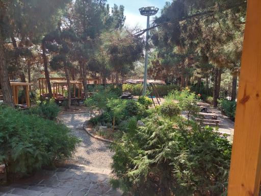 عکس کافه و رستوران جنگلی ایوان سبز