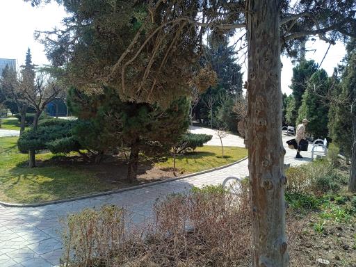 عکس شهرک خاتم النبیا