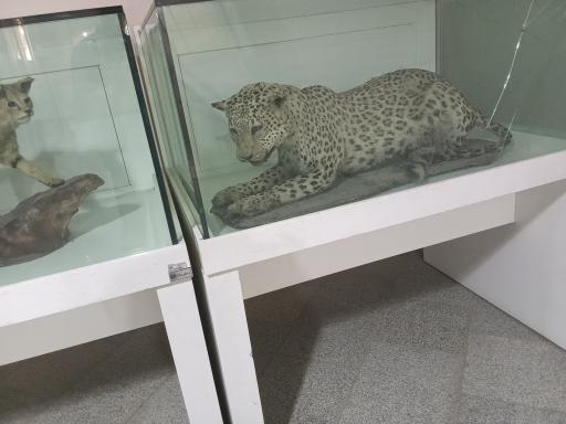 عکس موزه زاهدان