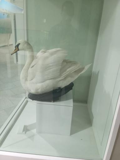 عکس موزه زاهدان