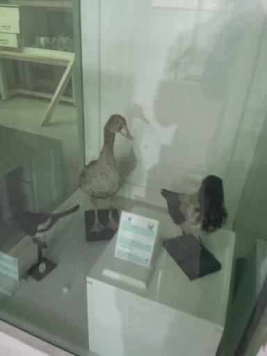 عکس موزه زاهدان