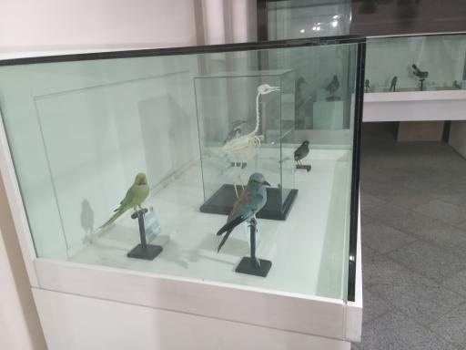 عکس موزه زاهدان