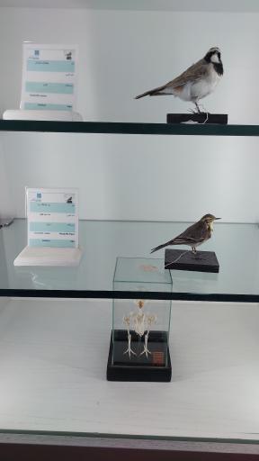 عکس موزه زاهدان