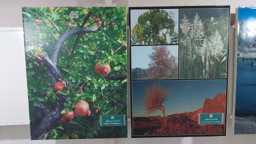 عکس موزه زاهدان