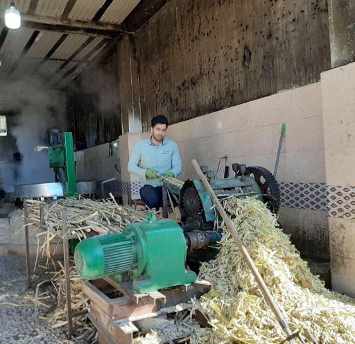 عکس کارگاه نیشکر سیدولی