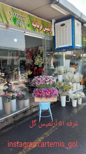 عکس آرتمیس گل شاخه ای