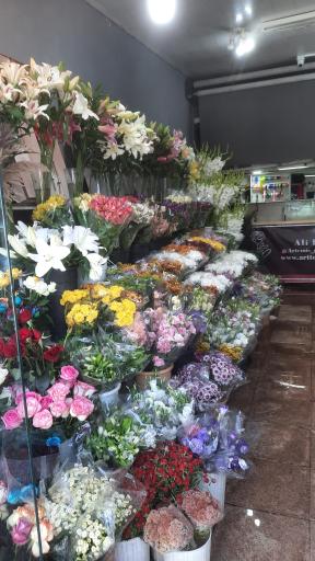 عکس آرتمیس گل شاخه ای