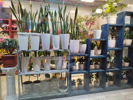 عکس گلفروشی آقای سعید