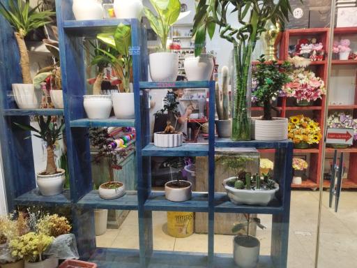 عکس گلفروشی آقای سعید