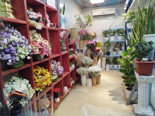 عکس گلفروشی آقای سعید