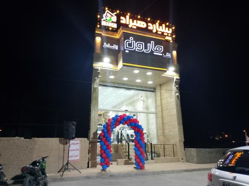 عکس بیلیارد هیراد