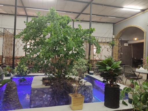 عکس کافه گارن 