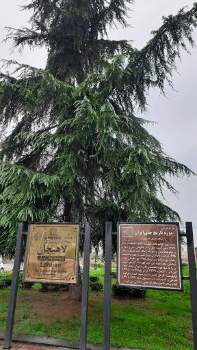 عکس آرامگاه کاشف السلطنه و موزه چای ایران