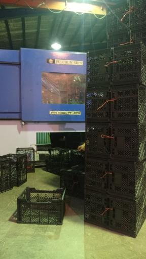 عکس سبد سازی اسماعیلی