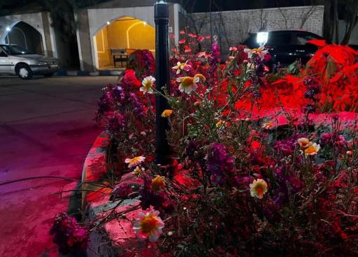 عکس باغ رستوران نگین جهانگردی