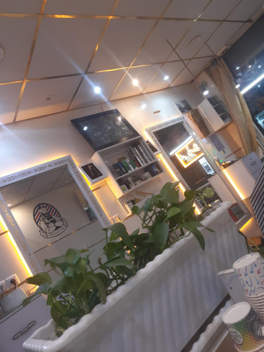 عکس پیرایش کافه موی علی