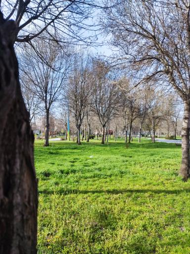 عکس بوستان شکوفه های زرناس