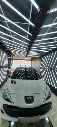 عکس کارشناسی و اصالت رنگ خودرو