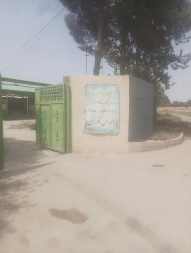 کارخانه الماس کاران