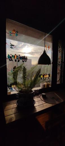 کافه سیپورت