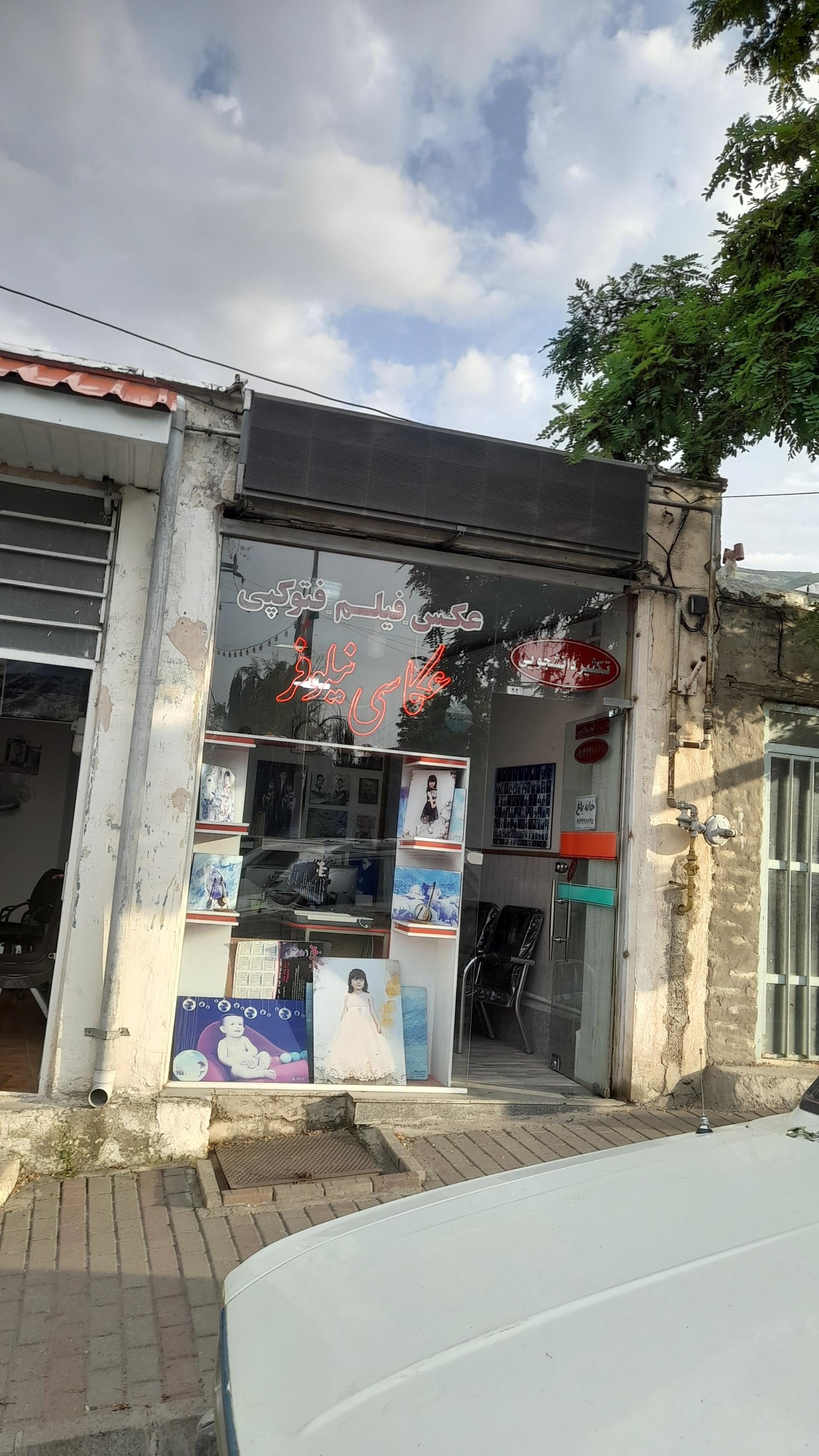 عکس عکاسی نیلوفر