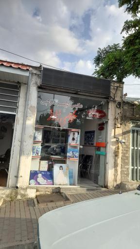 عکس عکاسی نیلوفر