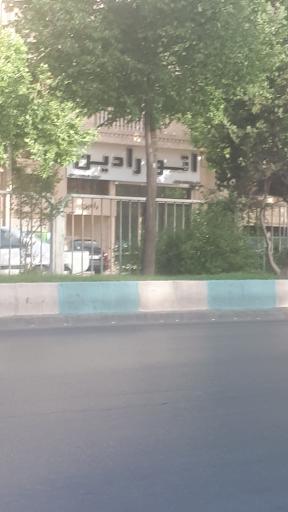 عکس اتو رادین