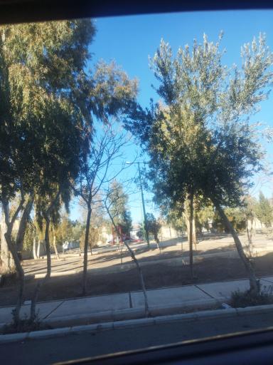 عکس بوستان کوکب