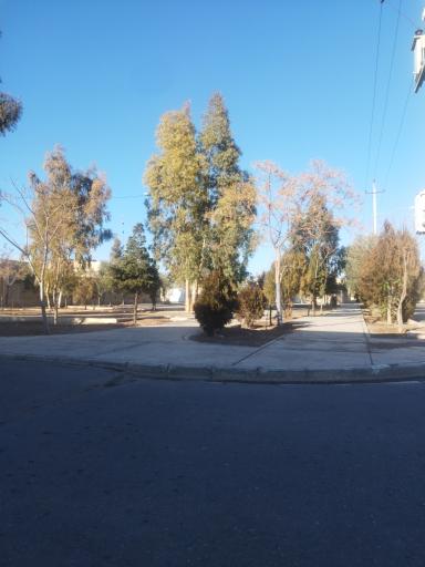 عکس بوستان کوکب
