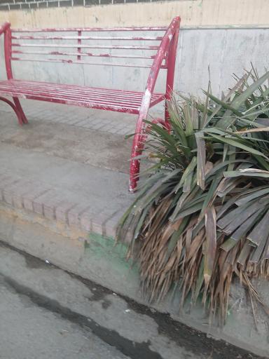 عکس  بهاران 2