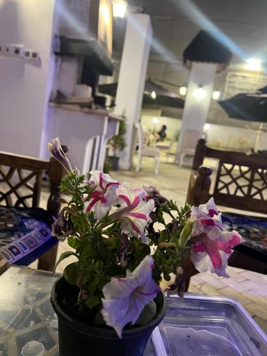 عکس سفره خانه نارون