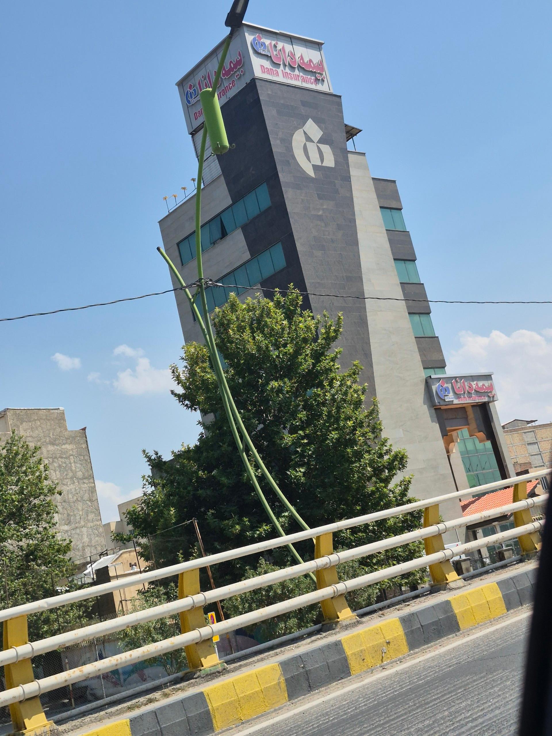 عکس بیمه دانا