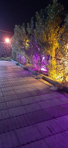 عکس کافه باغ دنج