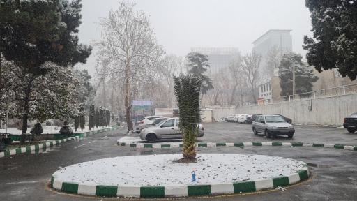 دانشکده مجازی، آموزش پزشکی و مدیریت