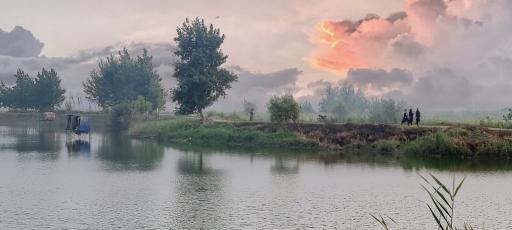 عکس بیشه کلا