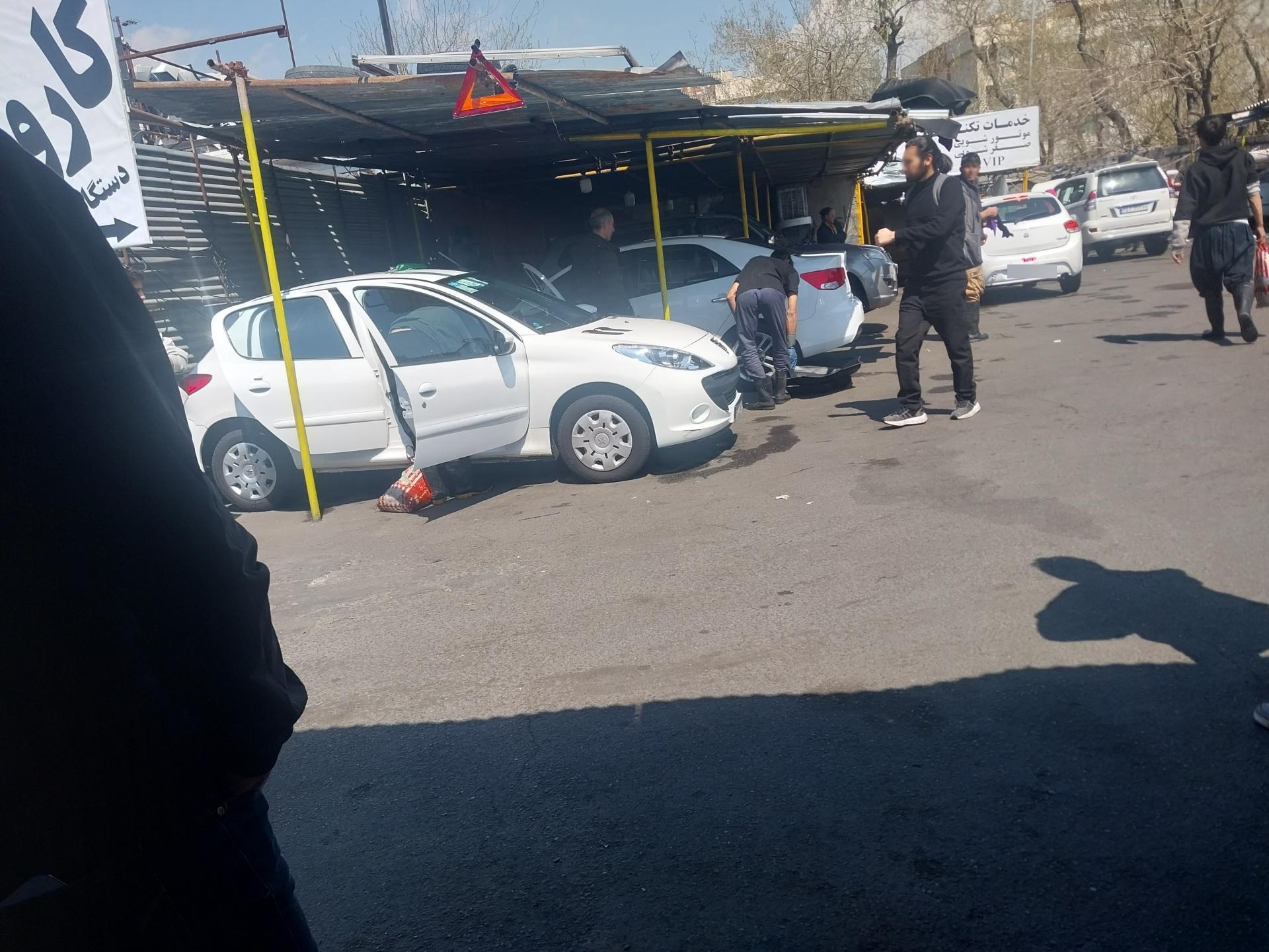 عکس کارواش سفید طرشت