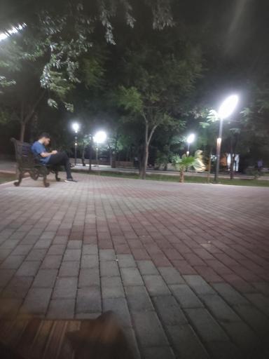 عکس پارک ملت فردوس