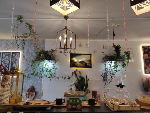 عکس آبمیوه و بستنی سان