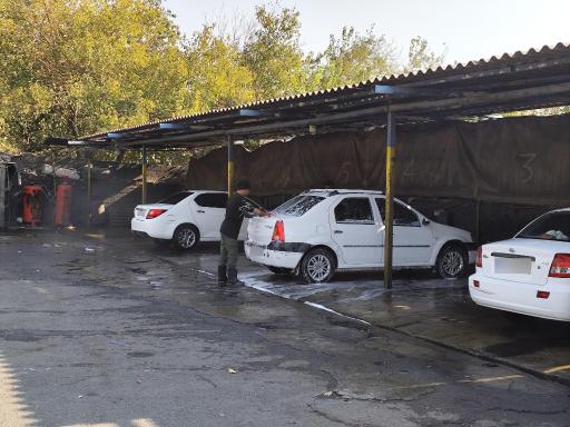 عکس کارواش سفید طرشت