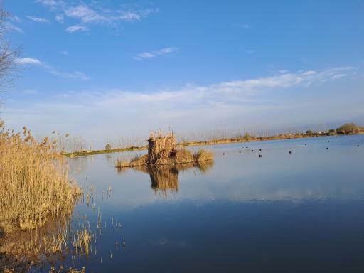عکس بیشه کلا