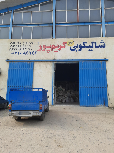 عکس شالیکوبی کریم پور