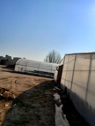 عکس گلخانه شهرداری منطقه ۷ تبریز