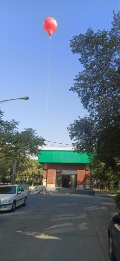 عکس تره بار هنگام