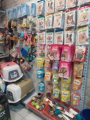 عکس پت شاپ حامیان پت مجیدیه