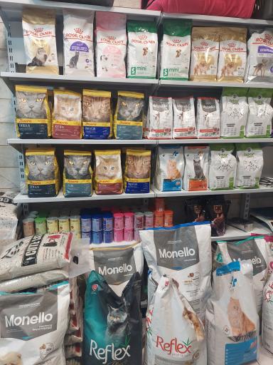 پت شاپ حامیان پت مجیدیه