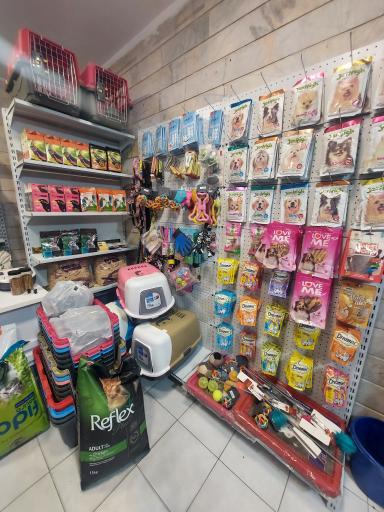 پت شاپ حامیان پت مجیدیه